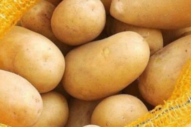 ارتفاع جنوني بأسعار البطاطا والبندورة.. تموين دمشق: الانخفاض يحتاج إلى شهرين