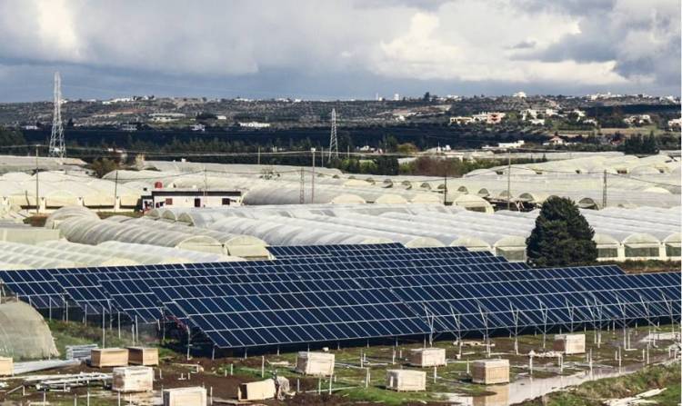 بكلفة 5 مليارات ليرة ..رجل أعمال سوري يتجهز لإطلاق أكبر مشروع لتوليد الكهرباء عبر الطاقة الشمسية في المنطقة قريباً