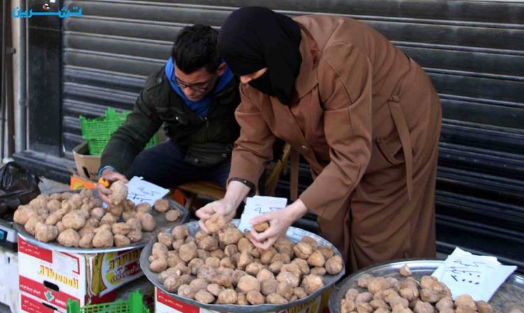 أسعار الكمأة تنخفض من 20 ألف ليرة للكيلو إلى إلى 3000 ليرة بدمشق و1500 ليرة في حلب!