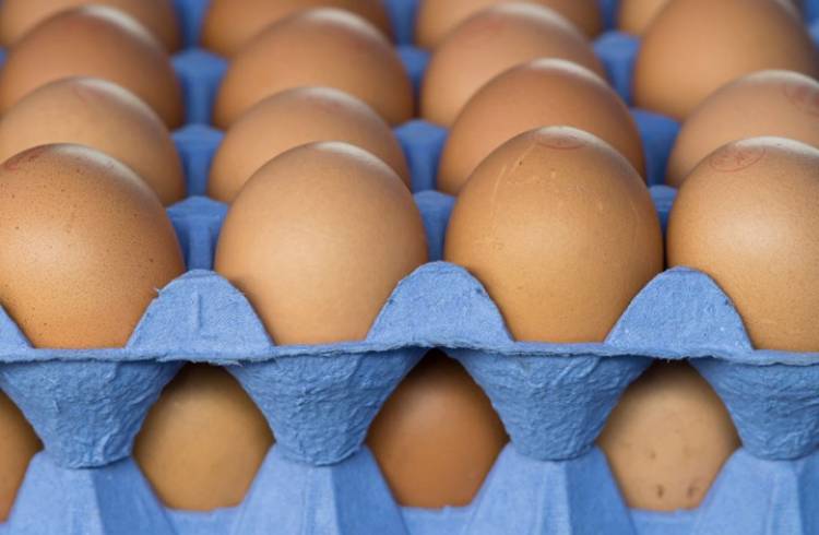 البيض يناهز 10 آلاف ليرة.. وتجار الأعلاف هم السبب!