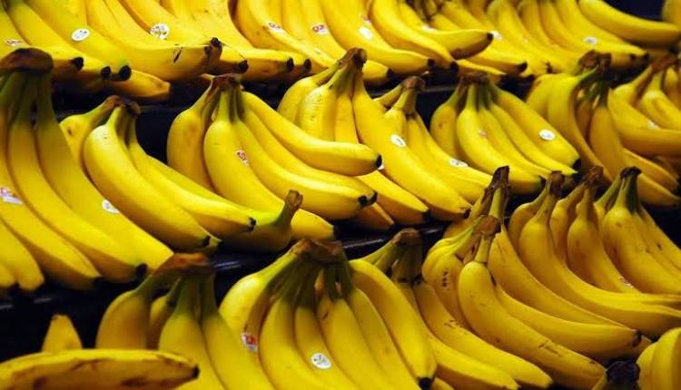 الموز اللبناني المستورد وصل إلى «الزبلطاني» وسعر الكيلو 8 آلاف ليرة 